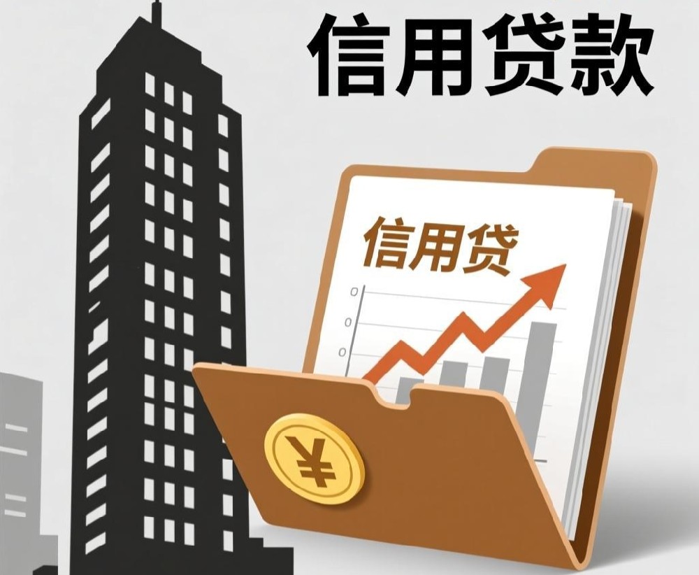 企業(yè)缺周轉(zhuǎn)資金?法人信用貸款,無(wú)抵押極速審批,解決燃眉之急!